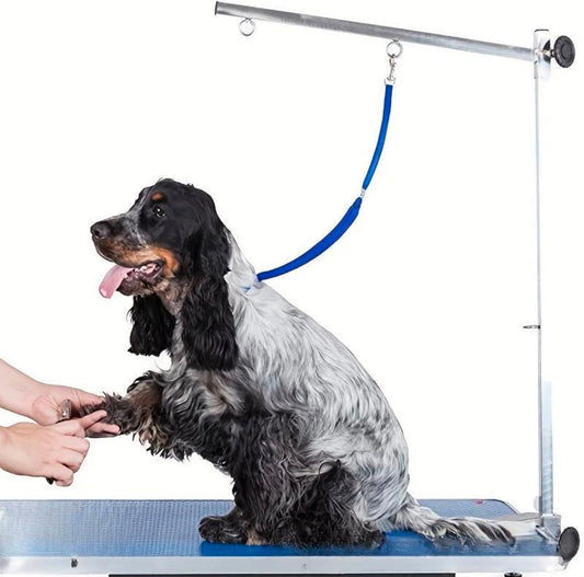 Professional Heavy-Duty Dog Grooming Leash – Secure Safety Restraint
